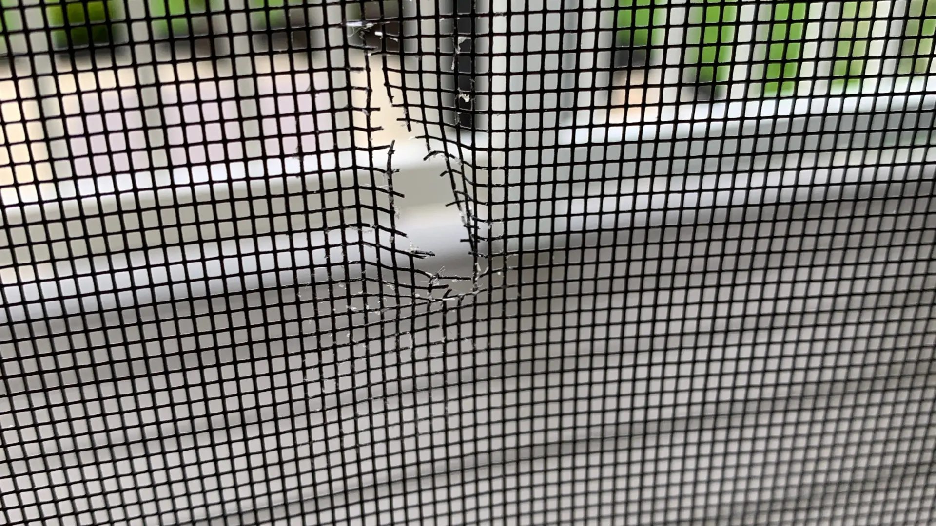 Screen Door Replacement